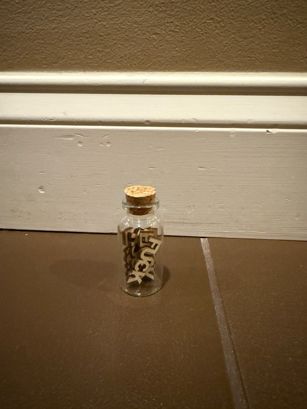 Jar of F**ks-Mini Corked Glass Bottle with Letter Charms